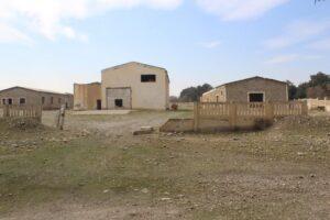 2 old livestock farms being reactivated in Nangarhar