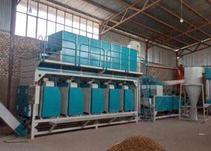 Badghis pistachio processing company remains inactive
