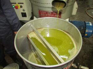 122,000 liters of olive oil processed in Nangarhar this year