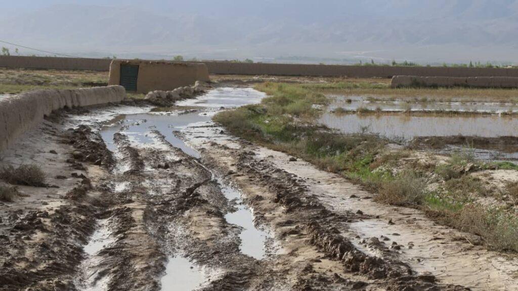 Recent floods destroy 70 percent of Paktia’s agricultural land