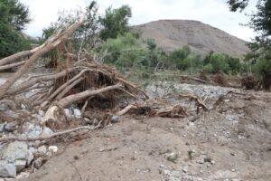 Kandahar village submerged after dam breach across Durand Line