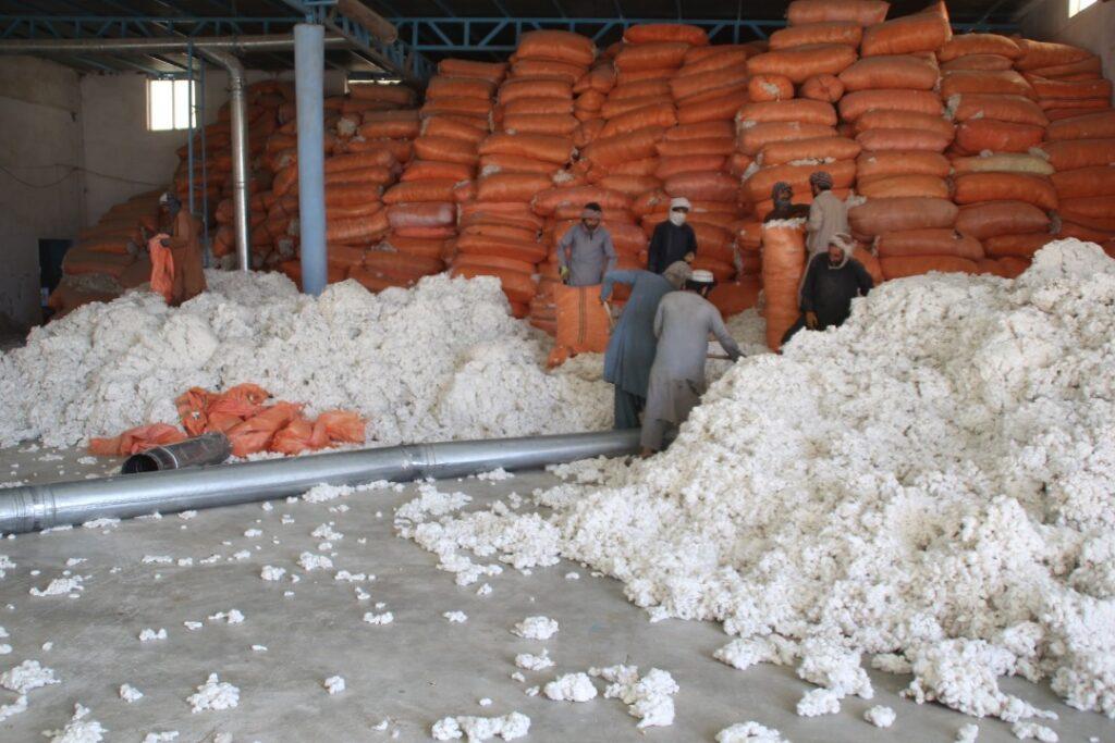 Pakistanis delay payments to Afghan cotton growers