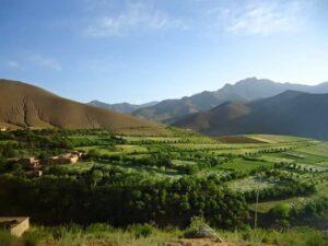 حادثۀ ترافیکی در دایکندی ۱۱ کشته و زخمی برجا گذاشت