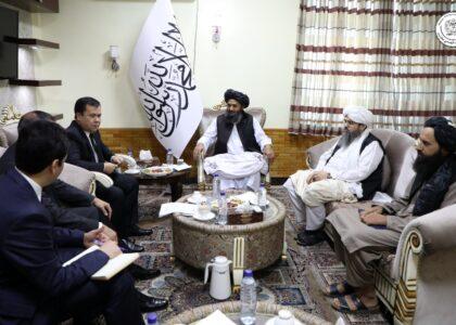 TAPI leadership committee to meet in Ashgabat soon: Amanov