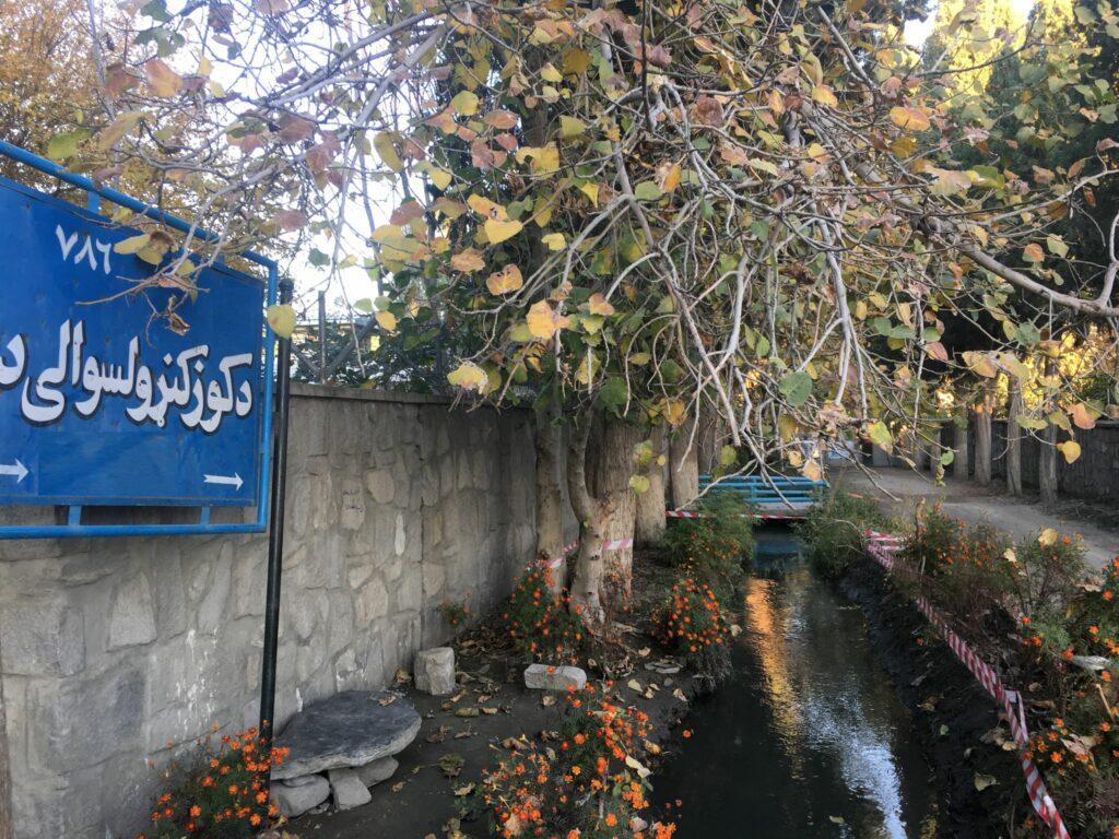 د ننګرهار کوز کونړ ولسوالۍ کې يوه ښځه او سړى وژل شوي