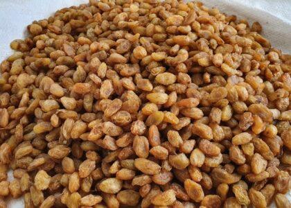 Kandahar: Abjosh raisin exports down by 25pc