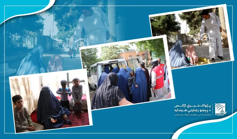 د ټول شوو سوالګرو ۶۷ سلنه حرفوي او اکثریت یې ښځې دي