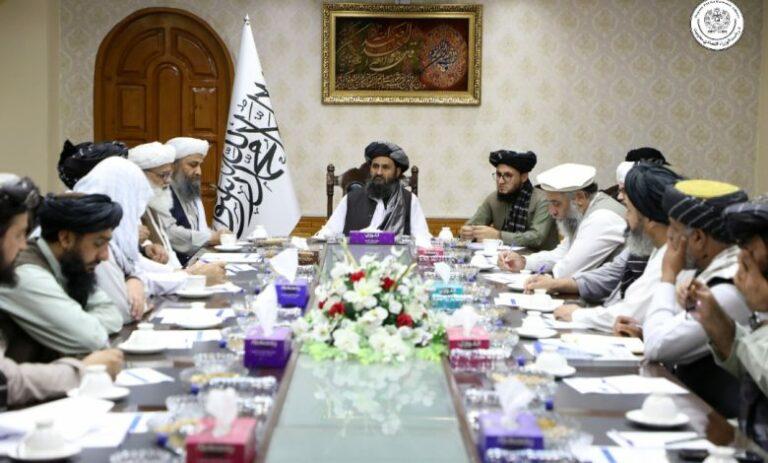 ارګ: د ځنګلونو وهل جرم دی، د ژمي لپاره به پخواني وهل شوي لرګي بازار ته عرضه شي
