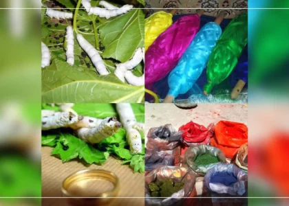 Herat silk industry loses domestic, international buyers