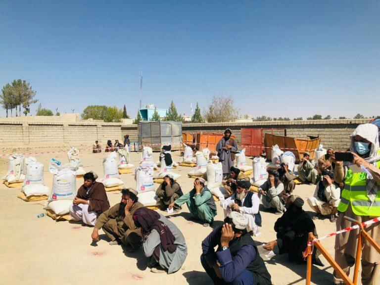 7000 farmers in Zabul being distributed wheat seed, fertilizer