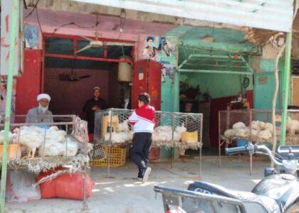 Keep chicken prices in check, Nimroz mayor asked