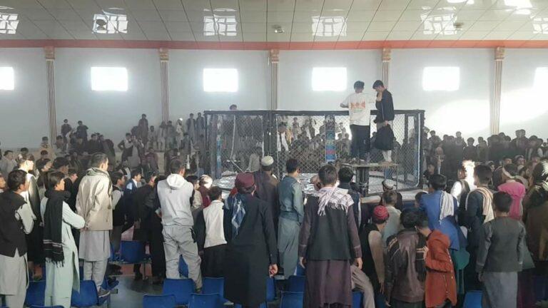 مسابقات رزمی «شب مبارزین پیشتاز» میان چهار ولایت در دایکندی برگزار شد
