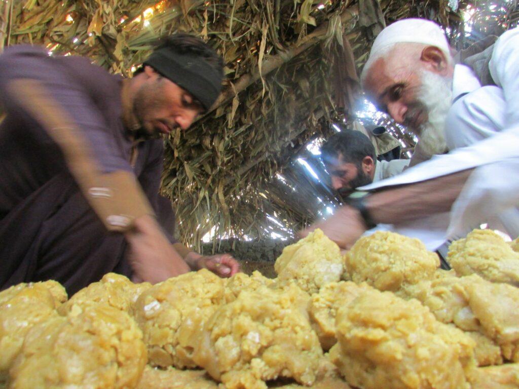 Gur production up in Nangarhar, but Pakistani variety affects market