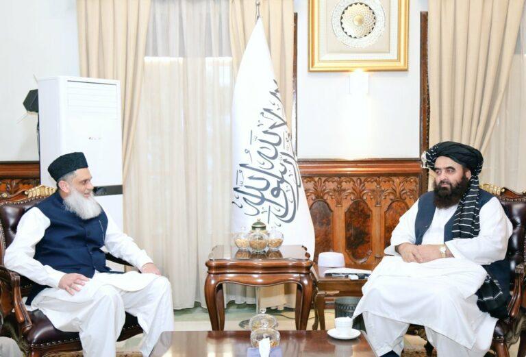 Maltreatment of Afghan refugees in Pakistan provoking: FM Muttaqi
