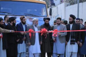 75 tonnes of pine nuts exported to China