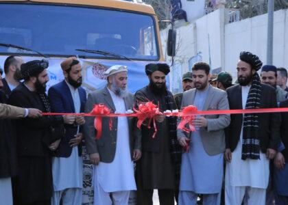 75 tonnes of pine nuts exported to China