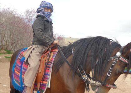 Traditional games attract thousands of spectators in Herat