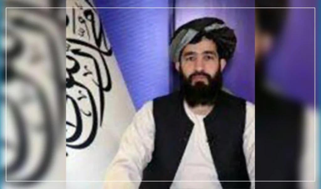 بلخی: تحریک طالبان توسط امریکا ایجاد نشده‌است