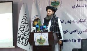 «تلاش می‌شود تا افغانستان در بخش محصولات زراعتی به یک کشور صادراتی مبدل گردد»