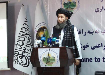 «تلاش می‌شود تا افغانستان در بخش محصولات زراعتی به یک کشور صادراتی مبدل گردد»
