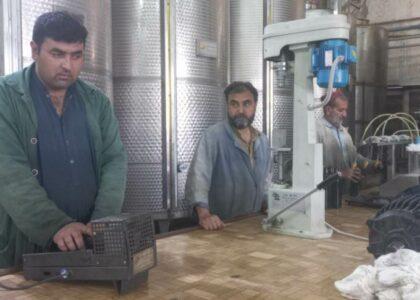 Nangarhar olive processing factory machinery outdated
