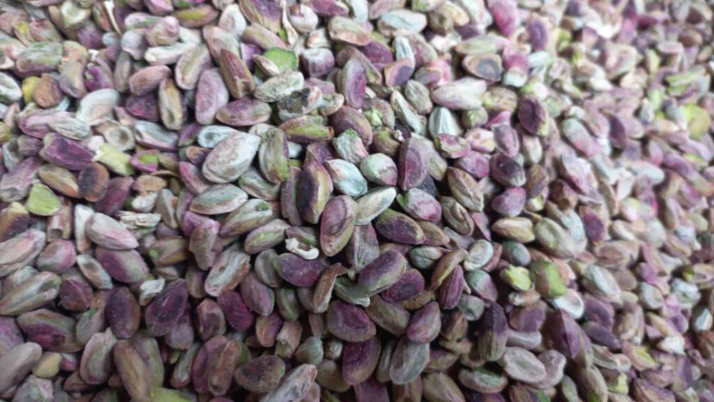 Badghis pistachio traders worry as sales tail off