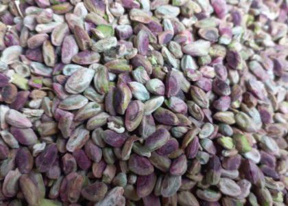 Badghis pistachio traders worry as sales tail off