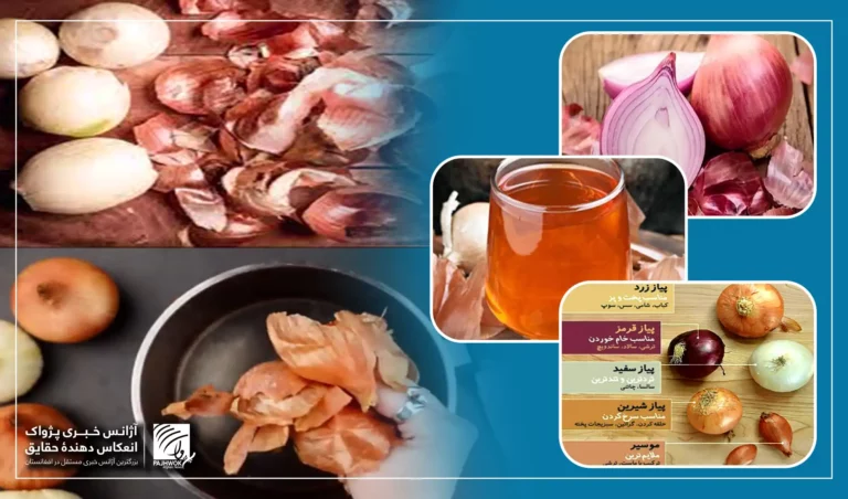 ډاکتران: د پیازو په وسیله د ناعلاجه ناروغیو درملنه تر اوسه نه ده ثابته شوې