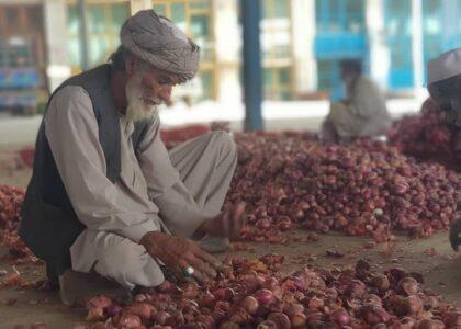 Onion price jump brings Kabul residents to tears