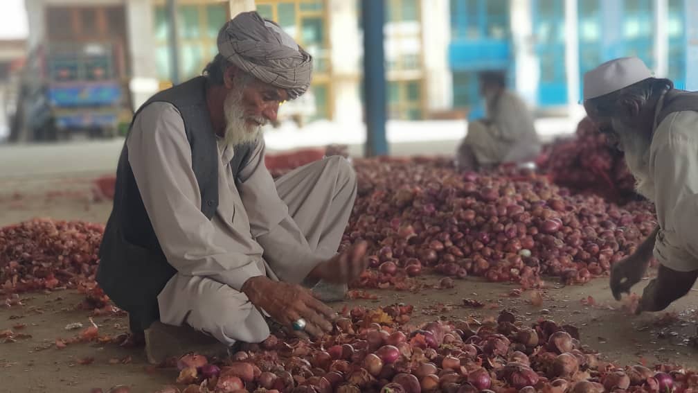 Onion price jump brings Kabul residents to tears