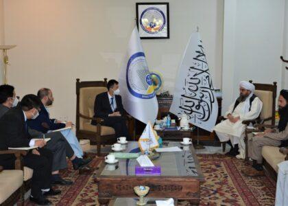 Dilawar to MCC: Launch work on copper project