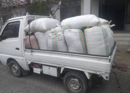 769 kilograms of marijuana seeds seized in Panjshir