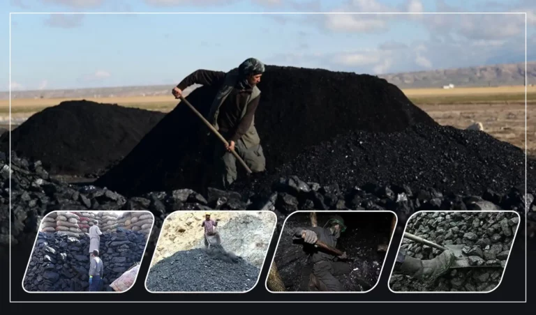 Government decides cut in coal custom duty, royalty