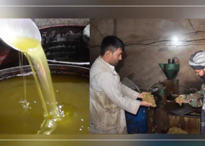Oil producing factory employing 40 people opens in Jawzjan