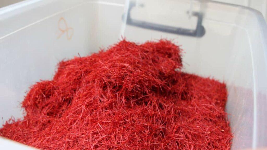 25 tonnes saffron produced in Herat this year