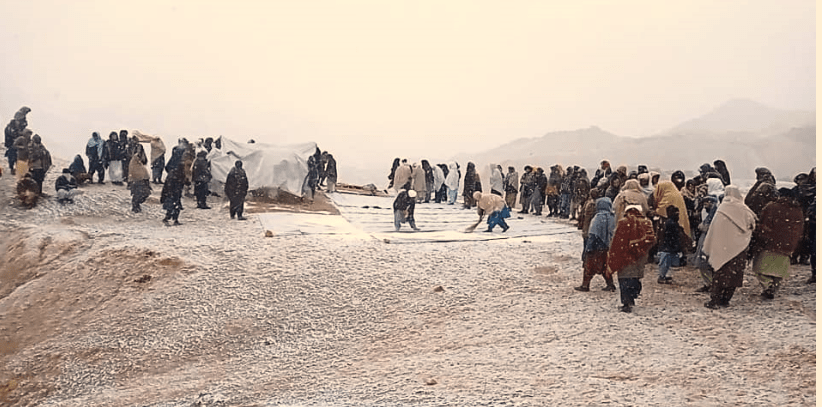 Badghis herdsmen seek help after losing animals to cold