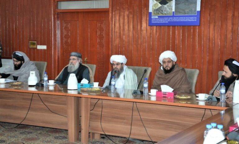 د کانونو او پټرولیم وزیر د ټاپي نل‌لیکې کمپنۍ له اجراییوي رییس سره پر ځینو موضوعاتو خبرې وکړې