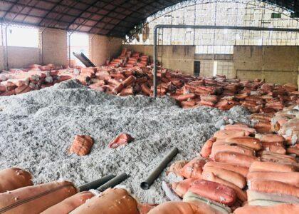 Cotton shortage worries Balkh factories owners