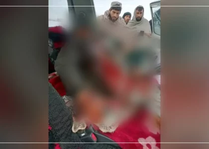Ghazni man stabbed to death by nephew