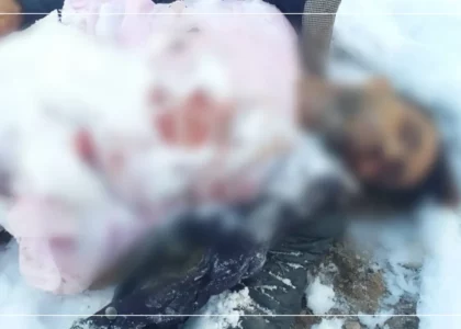 Missing youth found stabbed to death in Ghazni