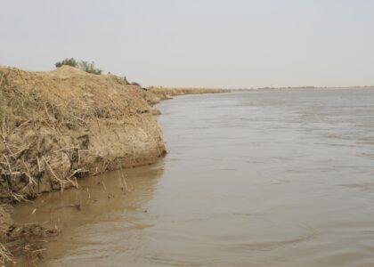 ‘Amu River erodes large swath of agriculture land annually’