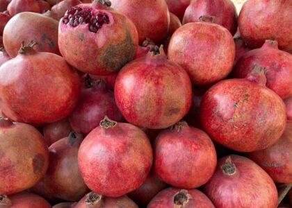 Kandahar exports pomegranates worth more than $48m this year