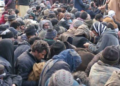 Herat: 4,000 drug addicts rounded up in 2 weeks