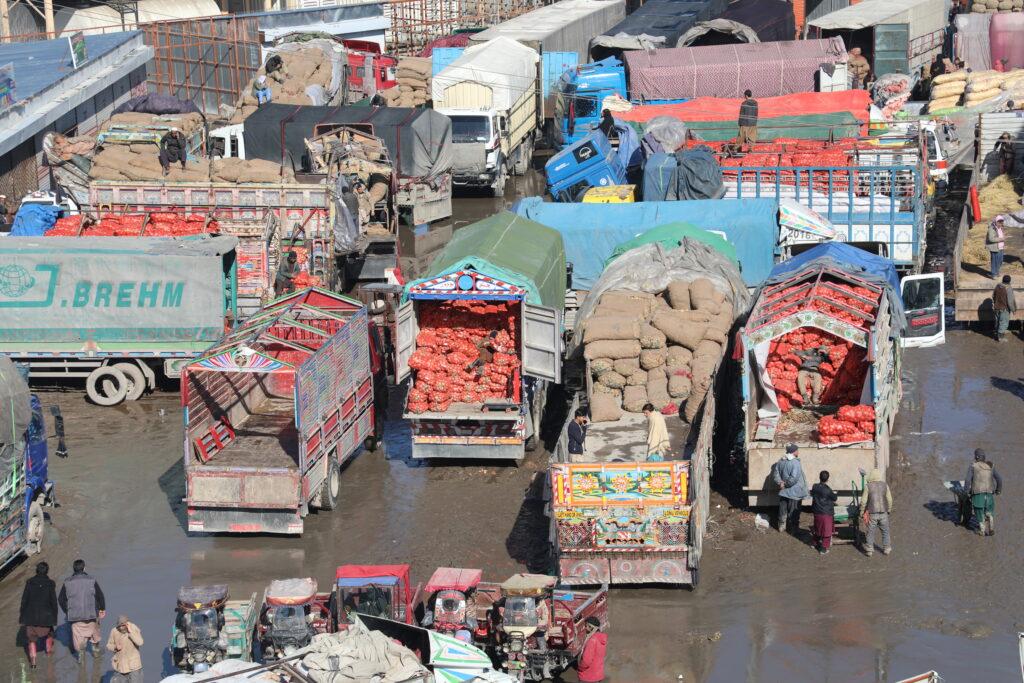 باشنده‌گان شهر کابل از افزایش قیمت پیاز شکایت دارند