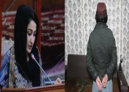 Ex-MP Nabizada’s killer detained, police claim