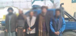 لوګر کې د روږدو ټولولو او درملنې کمپاین پيل شو