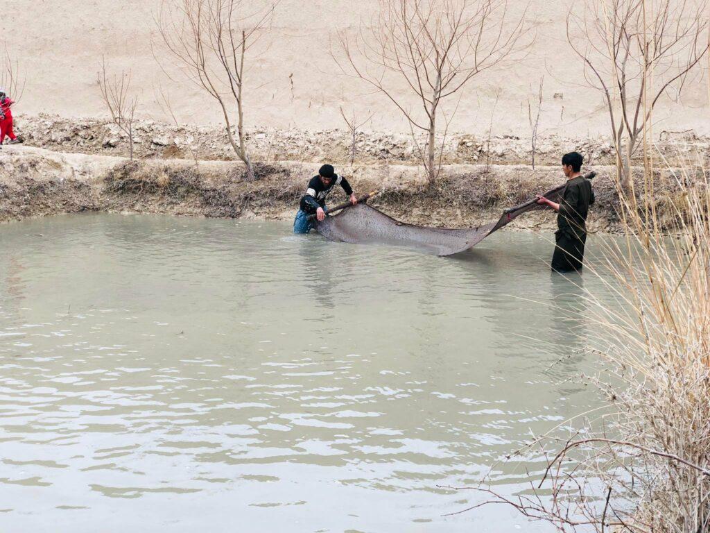 Most fish farms built in past decade in Balkh closed