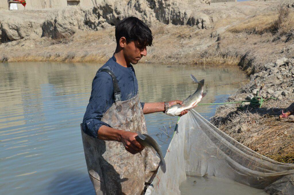Khost fish farmers seek govt’s support to improve business