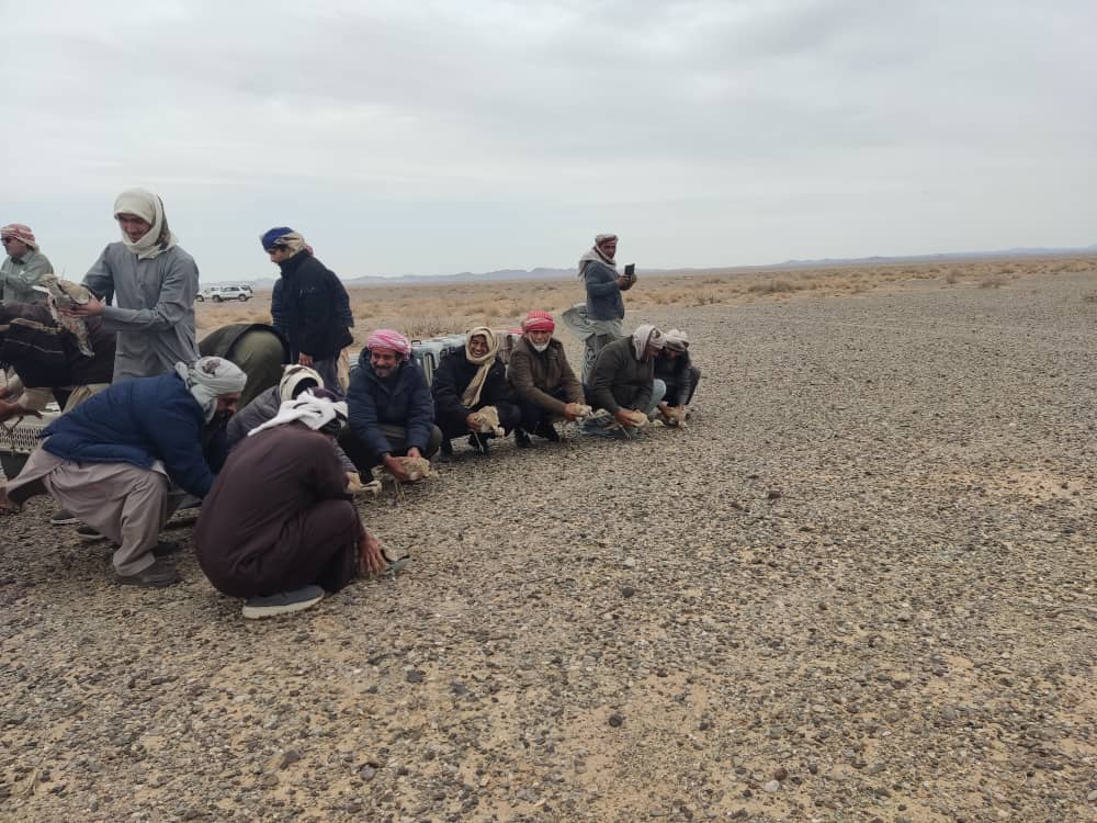 فراه کې ۳۰۰ کم‌یابه مرغان له روزنې وروسته ازاد شول