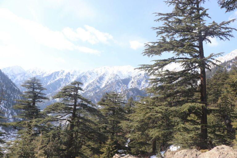 «نورستان د ملي پارک په توګه پېژندل شوی؛ سړک يې باید په اساسي ډول ورغول شي»